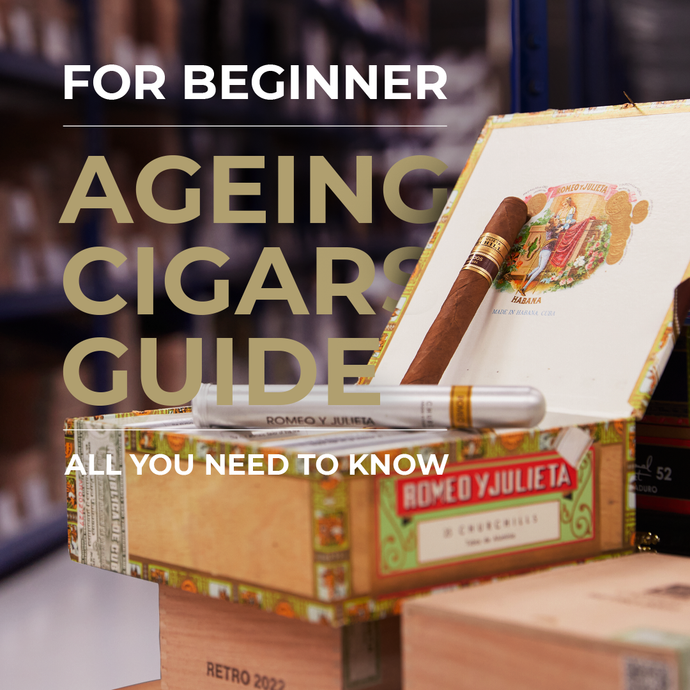 Ageing cigars Guide for beginner | All you need to know
