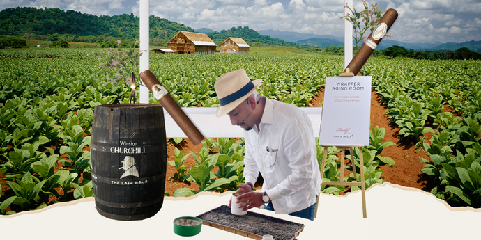 <B>Journey from Seed to Shelf<br><i>Unveiling the Magic Behind Davidoff Cigars</i></B>
