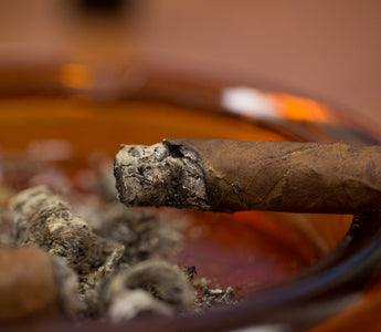 5 Essential Cigar Fixes You Need to Know