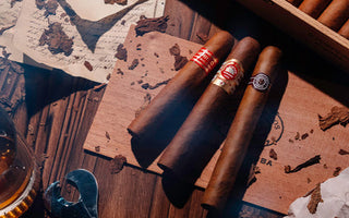 Vintage Cigars: A Collector's Guide.  Exploring the world of rare and valuable aged cigars.