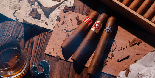 Vintage Cigars: A Collector's Guide.  Exploring the world of rare and valuable aged cigars.