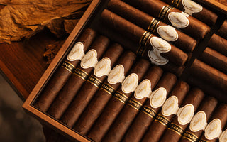 nextCIGAR x Davidoff Event