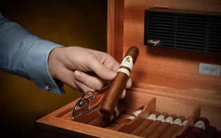 How to Stack Cigars in a Humidor