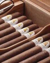 
                      
                        Load image into Gallery viewer, Davidoff Winston Churchill The Raconteur Humidor Primos (25 - 35 Cigars)
                      
                    