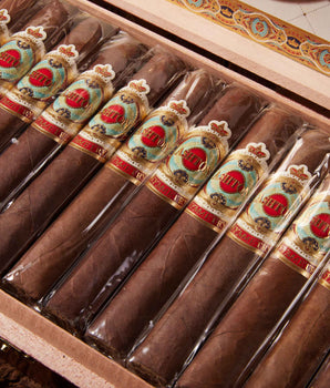 Ashton Symmetry Robusto