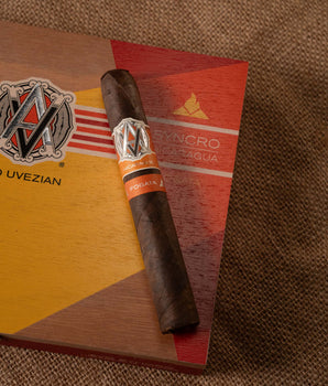 AVO Syncro Nicaragua Fogata Toro