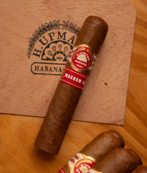 H. Upmann Magnum 54