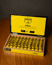 
                      
                        Load image into Gallery viewer, Camacho Criollo Robusto (Tubos)
                      
                    