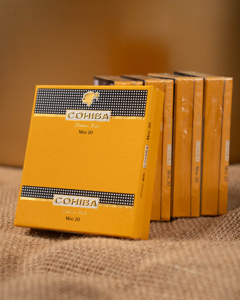 Cohiba Mini Cigarillos