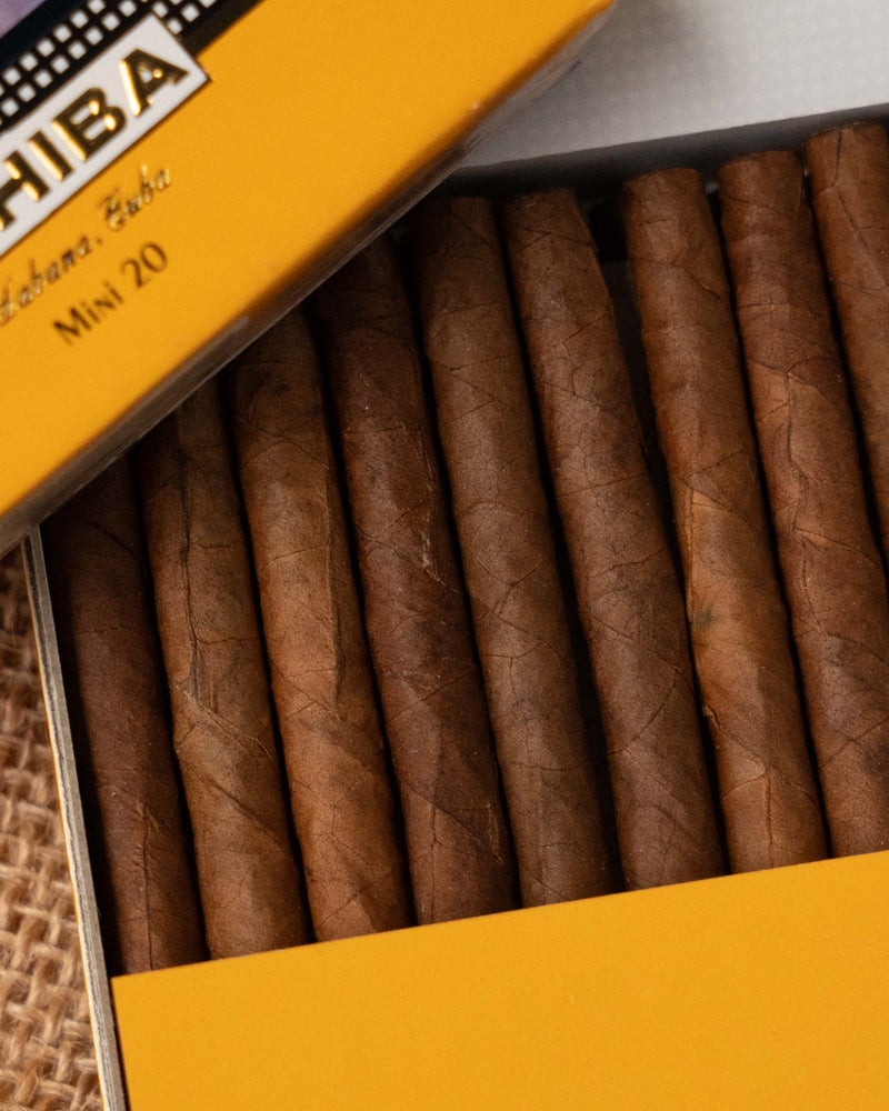 Cohiba Mini Cigarillos