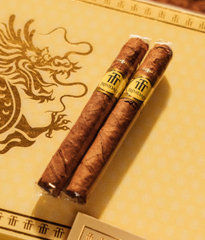 Trinidad Short "Year of the Dragon" Limited Edition