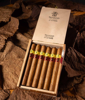 Trinidad La Trova LCDH - nextCIGAR