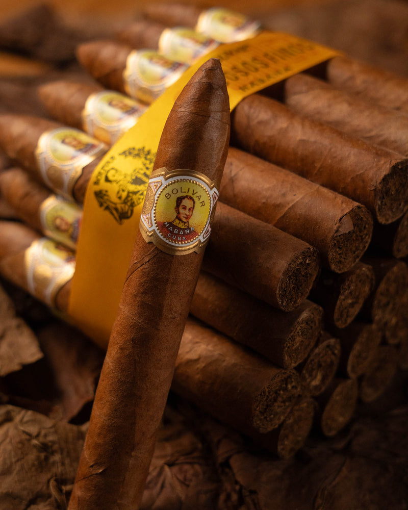 Bolívar Belicoso Finos