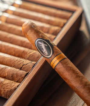 Davidoff Nicaragua Robusto Cigar Bundle (Uncut)