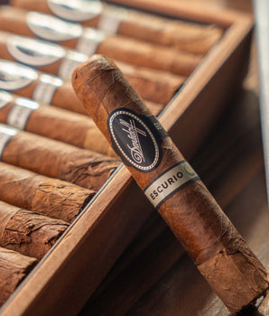 Davidoff Escurio Petit Robusto Cigar Bundle (Uncut)