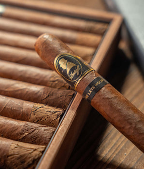 Davidoff Winston Churchill The Late Hour Toro Cigar Bundle (Uncut)