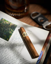 
                      
                        画像をギャラリービューアに読み込む, nextCIGAR Beginner Pack 2024 - Small Cigars Set - nextCIGAR
                      
                    