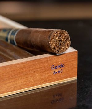 Ferio Tego Summa Gordo - nextCIGAR