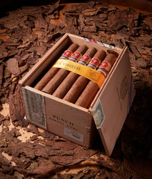 Punch Super Robusto Edición Regional Asia Pacifico 2007