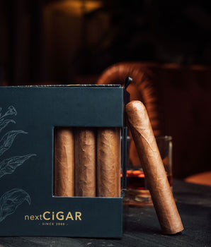 nextCIGAR下壹茄2024週年紀念限量版 戈多型