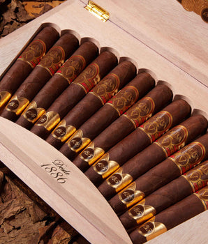 Oliva Serie V 135th Anniversary Edición Limitada