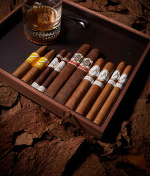 nextCIGAR Beginner Pack 2023 - Explore Smoke