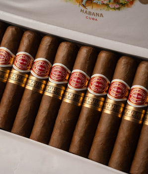 Romeo y Julieta Petit Churchills