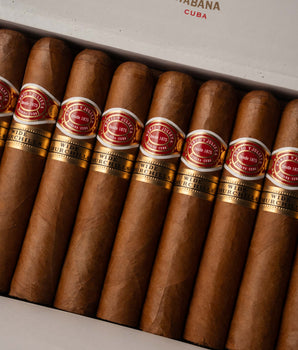 Romeo y Julieta Wide Churchills