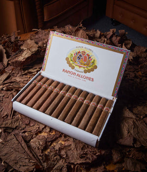 Ramón Allones Specially Selected