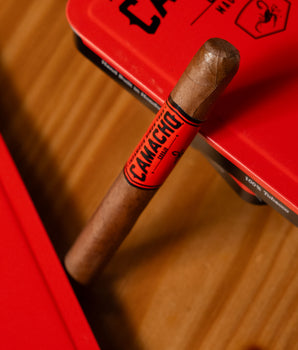 Camacho Corojo Machitos - nextCIGAR