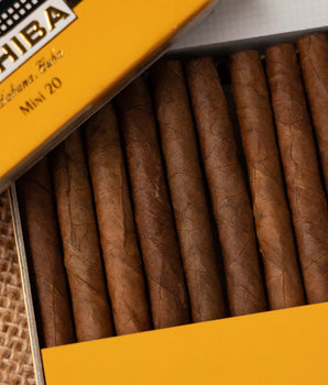 Cohiba Mini Cigarillos - nextCIGAR