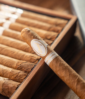 Davidoff Aniversario Special R Cigar Bundle (Uncut) - nextCIGAR