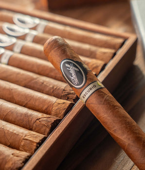 Davidoff Escurio Gran Toro Cigar Bundle (Uncut) - nextCIGAR