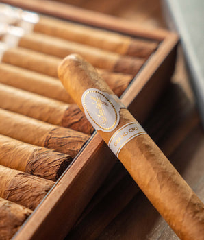 Davidoff Grand Cru Robusto Cigar Bundle (Uncut) - nextCIGAR