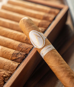 Davidoff Grand Cru Toro Cigar Bundle (Uncut) - nextCIGAR