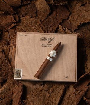 Davidoff Millennium Pirámides - nextCIGAR