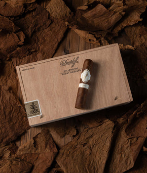 Davidoff Millennium Short Robusto - nextCIGAR