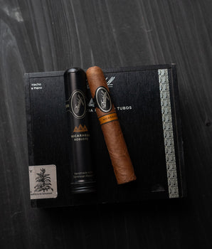 Davidoff Nicaragua Robusto (Tubos) - nextCIGAR