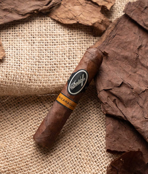 Davidoff Nicaragua Short Corona - nextCIGAR