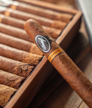 Davidoff Nicaragua Toro Cigar Bundle (Uncut) - nextCIGAR