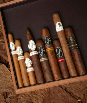 Davidoff Premium Gift Selection - nextCIGAR