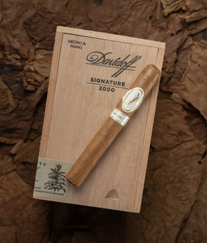 Davidoff Signature 2000 - nextCIGAR