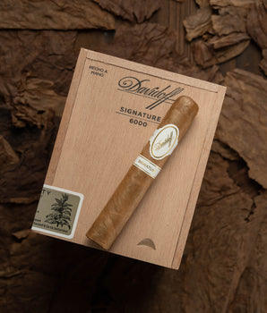 Davidoff Signature 6000 - nextCIGAR