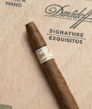 Davidoff Signature Exquisitos - nextCIGAR