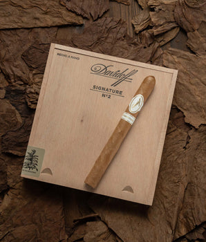 Davidoff Signature No. 2 - nextCIGAR