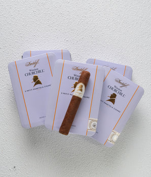 Davidoff Winston Churchill Petit Panetela - nextCIGAR