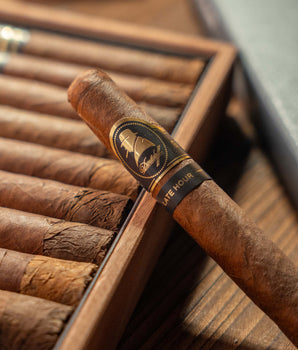 Davidoff Winston Churchill The Late Hour Robusto Cigar Bundle (Uncut) - nextCIGAR