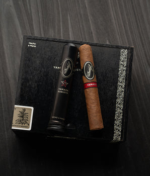 Davidoff Yamasá Robusto (Tubos) - nextCIGAR