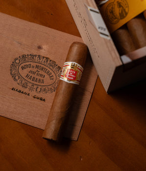 Hoyo De Monterrey Petit Robustos - nextCIGAR