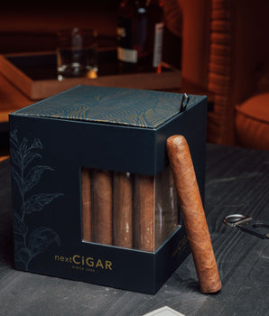 nextCIGAR Anniversary Blend Toro Limited Edition 2024 - nextCIGAR